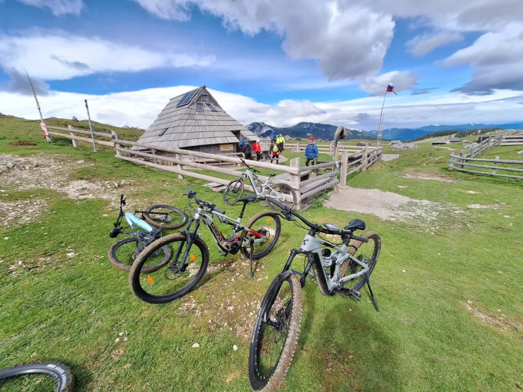 WhatsApp Image 2024-09-17 at 08.39.29