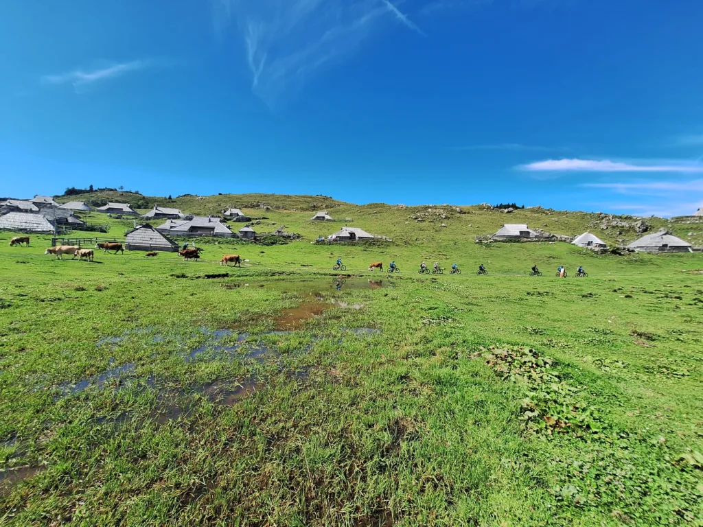 WhatsApp Image 2025-09-08 at 18.15.06