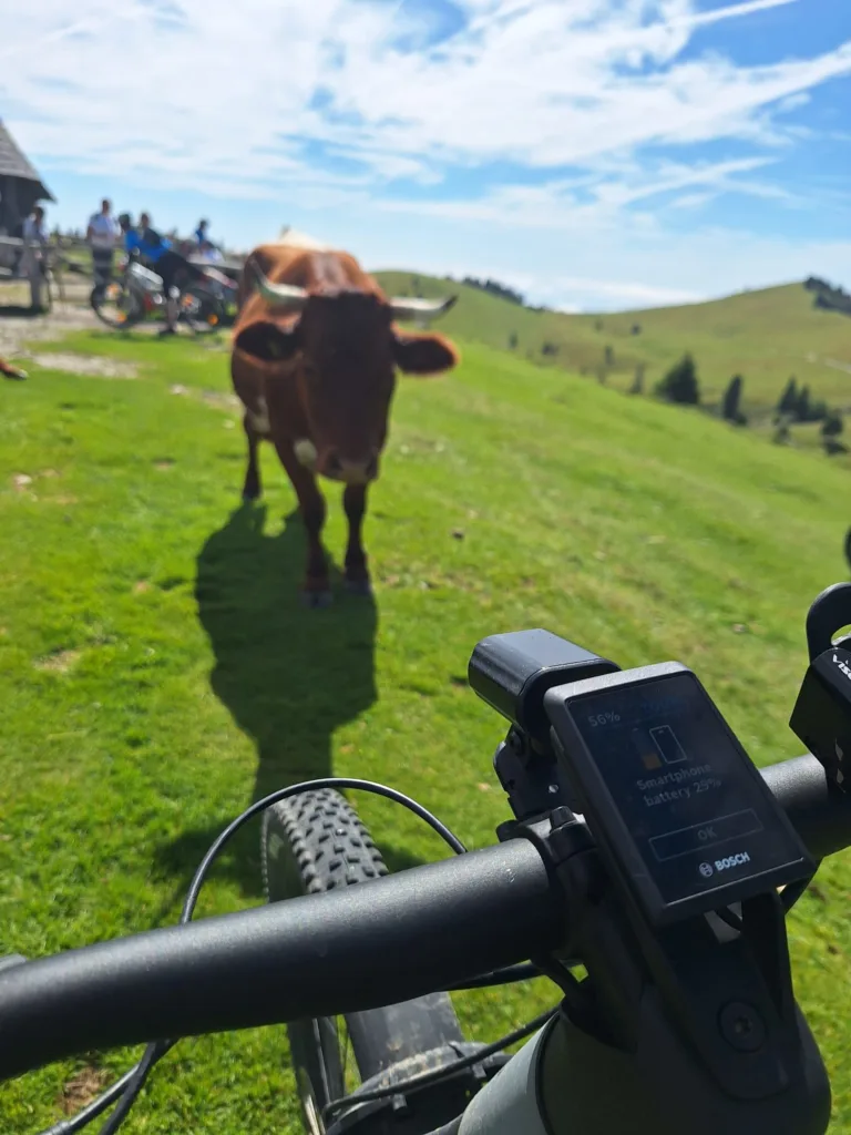 WhatsApp Image 2025-09-08 at 18.15.11