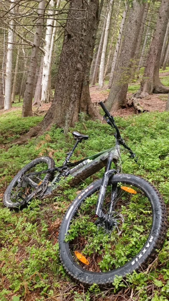 יום רביעי bojan 3