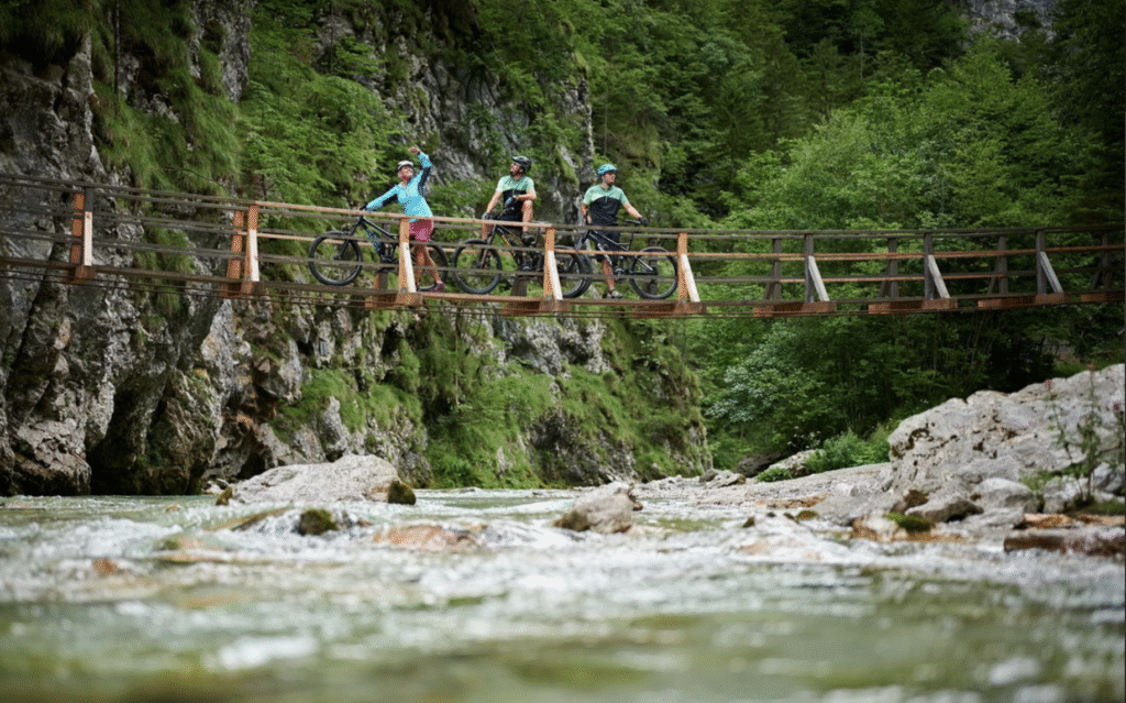 צילום מסך 2024-04-07 ב-18.11.30